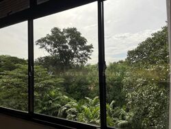 Balmoral Park (D10), Terrace #503702511